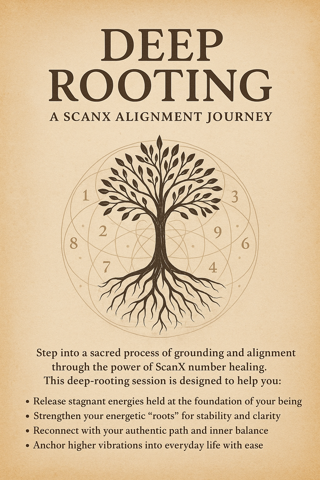 Alignment with Scans – Deep Rooting